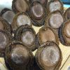【加熱即食】即食10頭 溏心日本千葉網鮑(每隻計) #16000