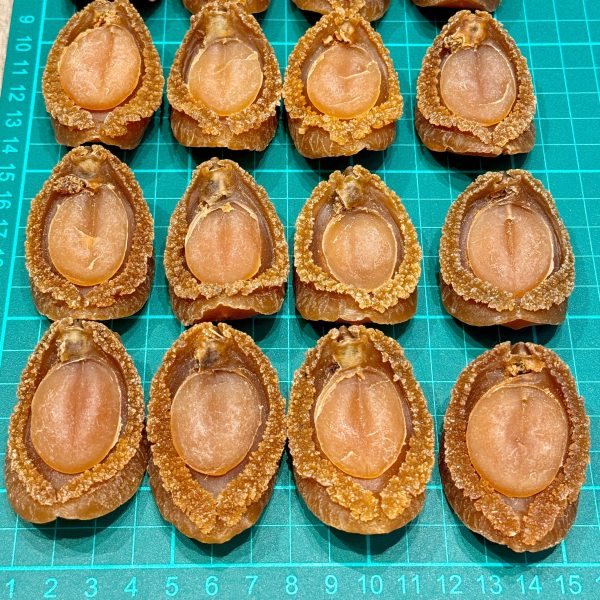 Abalone47.jpg 28頭特選日本吉品鮑 #10040