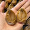 Abalone_53.jpg 27~30頭南非吉品乾鮑 #13021