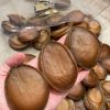 【加熱即食】即食10頭 溏心日本千葉網鮑(每隻計) #16000