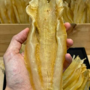 9-10頭扎膠公 #32050