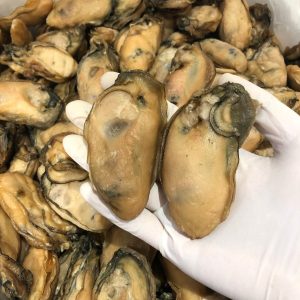 Oyster02.jpg 25-30 隻大金蠔 (新貨) #44140