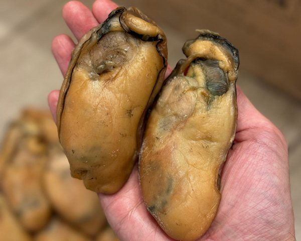 12-14隻超大金蠔王 (新貨) #44110