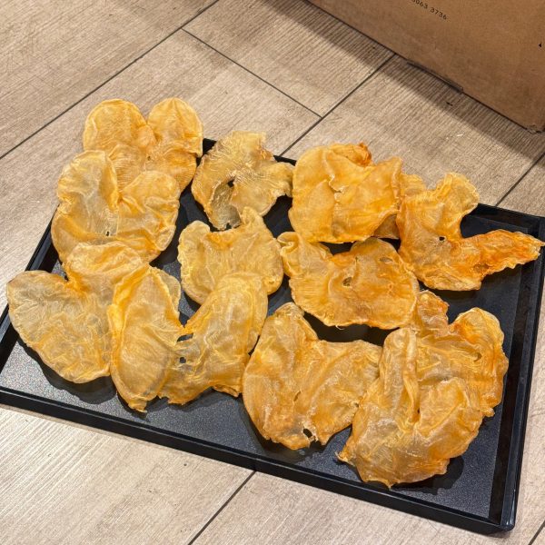 24頭 超大雞泡魚膠 #33061