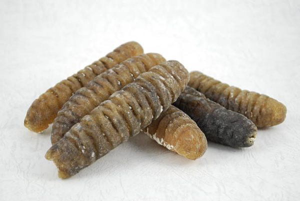 Sea_Cucumber_Aus.jpg 16-18支南澳塔斯曼利亞禿參 #23030