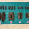 Sea_cucumbers001.jpg 【清水浸發】即用北海道遼參SS #26141