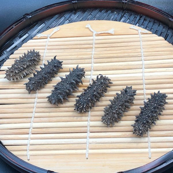 Sea_cucumbers51.jpg 【清水浸發】即用北海道遼參SS #26141