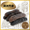 【20/30支】澳洲禿參