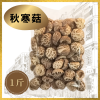 海王牌-精選秋寒菇